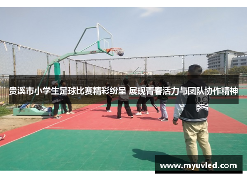 贵溪市小学生足球比赛精彩纷呈 展现青春活力与团队协作精神